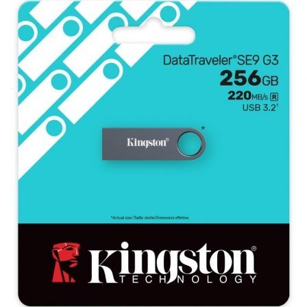 Pendrive 256GB Kingston DataTraveler SE9 G3 USB 3.2 - Imagen 3